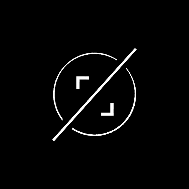 Co-Founder & Lead Developer